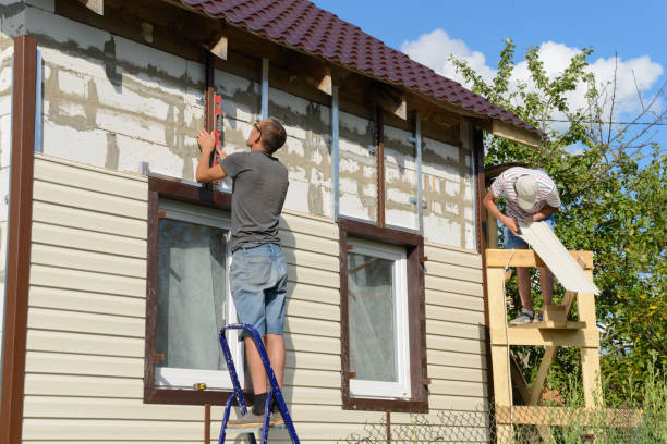 Best Custom Siding Design  in Alb, IA