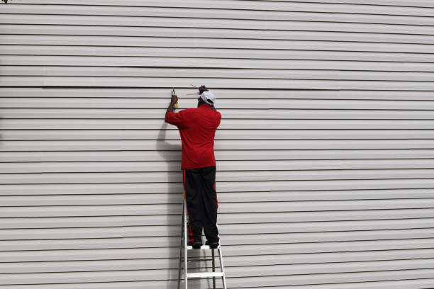 Affordable Siding Repair and Maintenance Services in Albia, IA