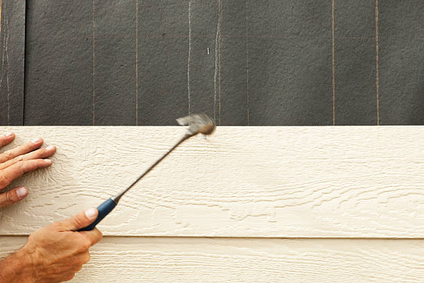 Best Siding for Multi-Family Homes  in Alb, IA